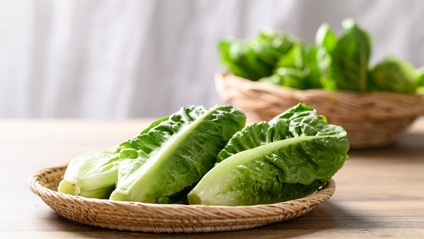 manfaat dan kandungan romaine lettuce